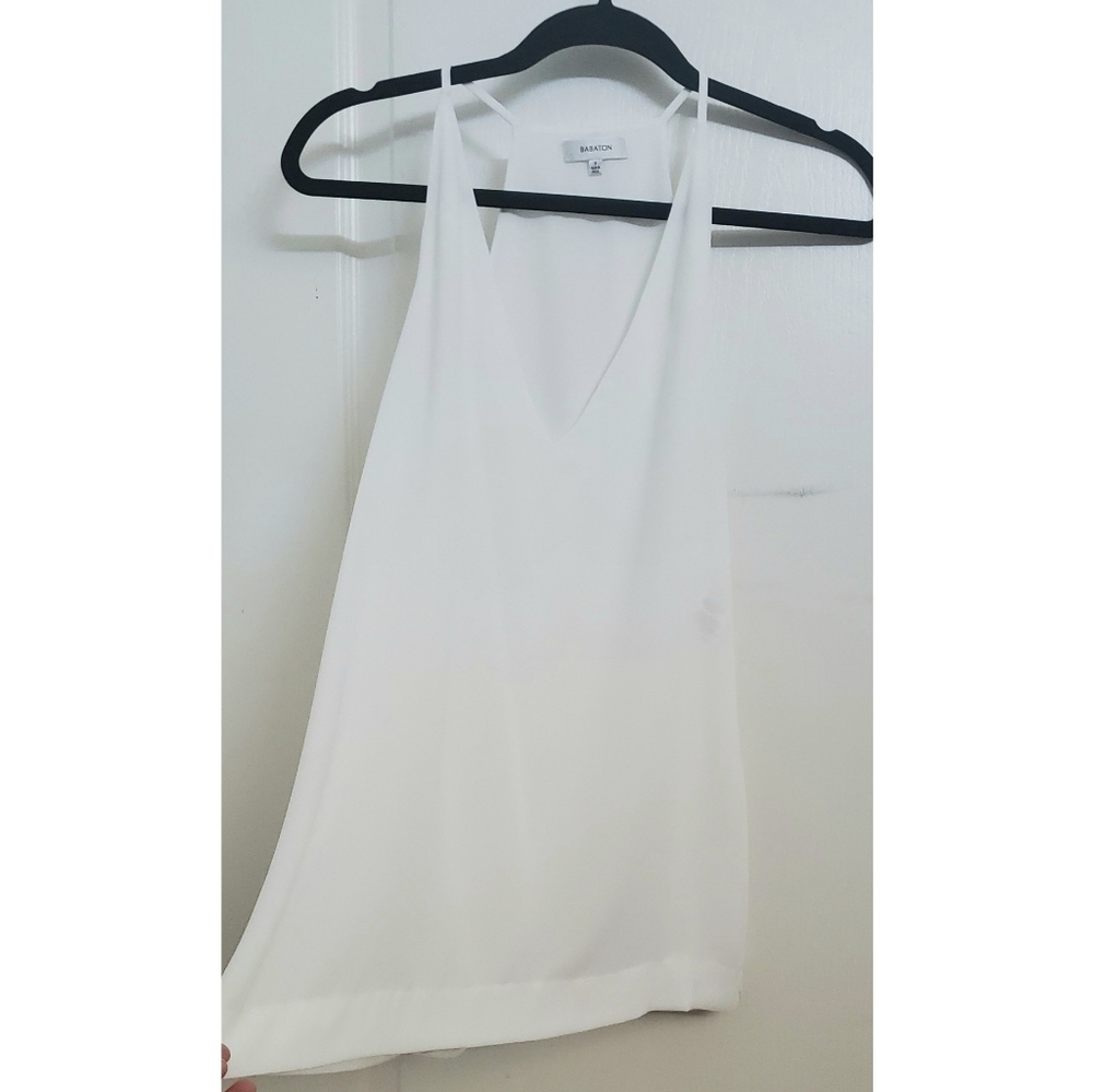 Aritzia Babaton Dressy V-neck blouse